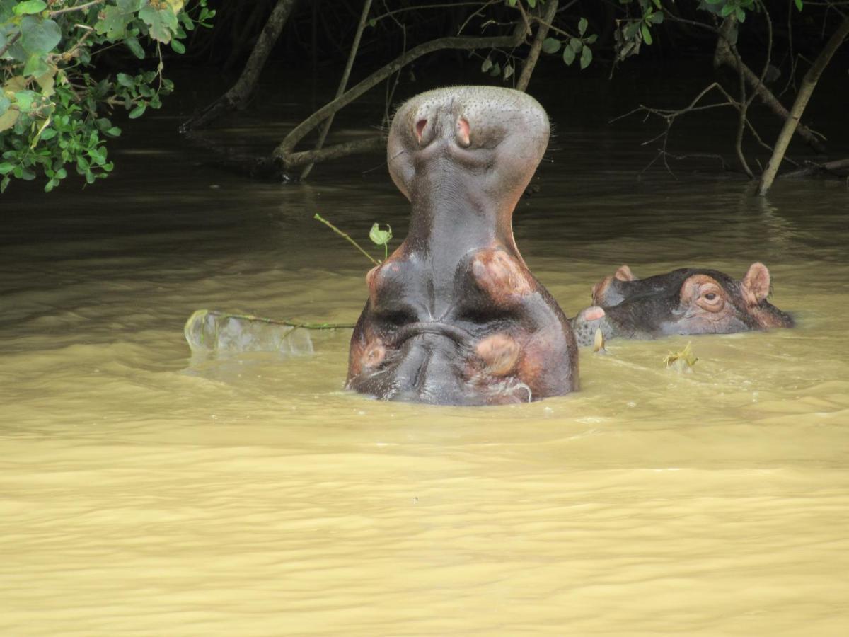 Appartamento Uitspan Saint Lucia Estuary Esterno foto